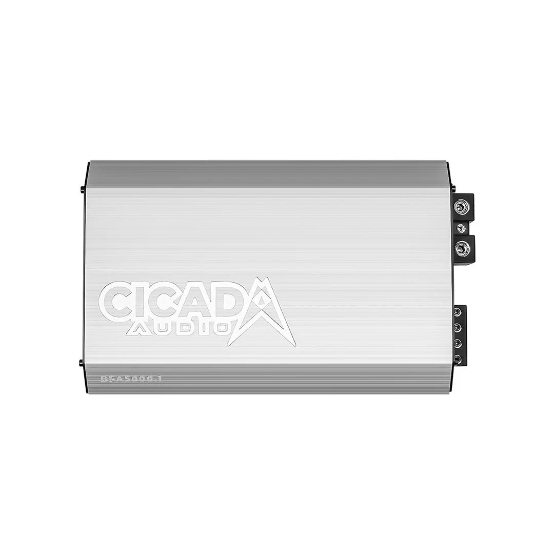 BFA5000.1 5000w x 1 ch Mono Class D Amp