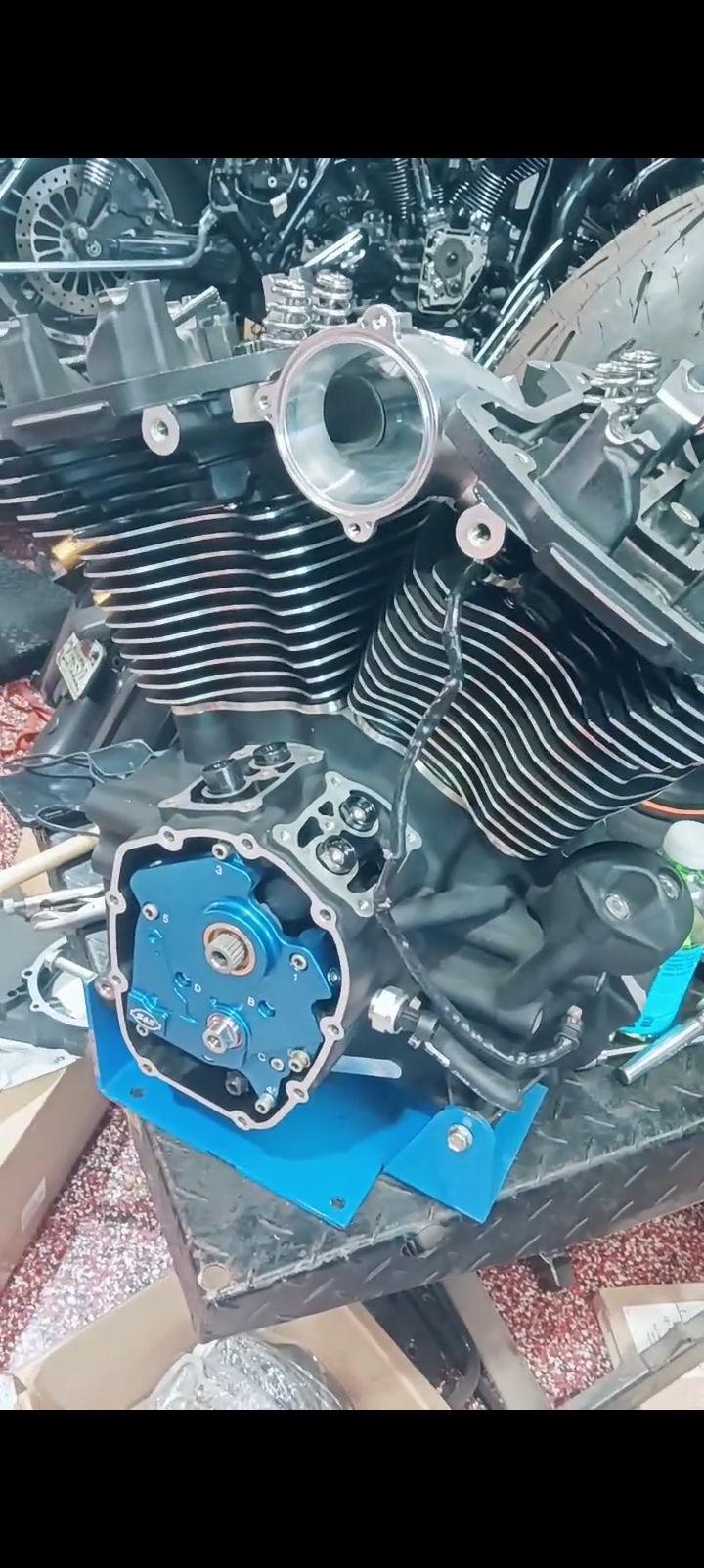 143Ci Gap Gang Really Big Bully Package Full Build Only For Serious Riders With Up To 180Hp
