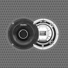 CHX65.2 PRO COAX HORN SPEAKERS 2Ω