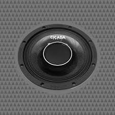 CHX8.2 8" Pro Coax Horn Speakers - 2Ω