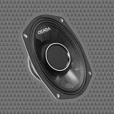 CHX69.4 6x9" Pro Coax Horn Speakers - 4Ω