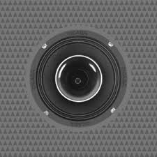 CH65.2V2 6.5-INCH COAXIAL HORN SPEAKERS - 2Ω