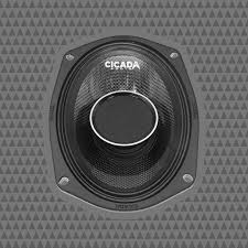 CHX69.2 6x9" Pro Coax Horn Speakers - 2Ω