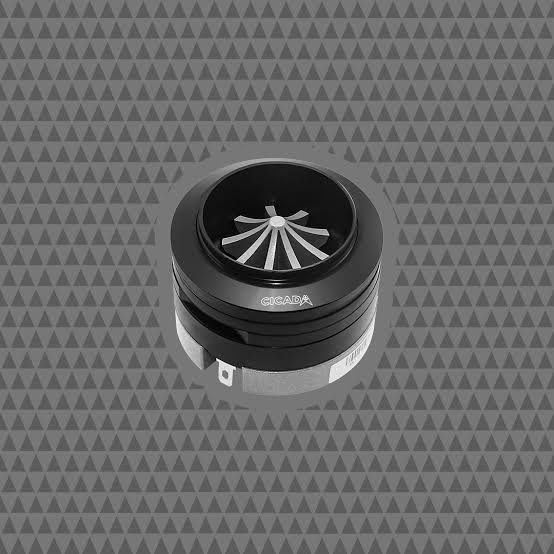 RR1T 1" Horn Tweeters